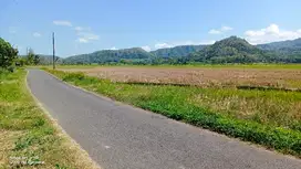 tanah murah,view sawah.bonus rumah siap huni