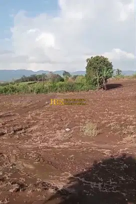 Jual Tanah Daerah Karo Jalan Sinaman - Kec. Barusjahe