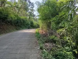 Jual tanah pingir jalan luas 5,600mtr srt kikitir