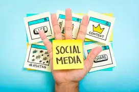 di cari staff handle social media youtube, twitter, facebook, dll.
