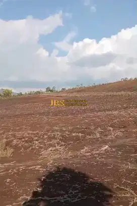 Jual Tanah Jalan Sinaman - Kec. Barusjahe, Karo (+/- 50m dr Jl Besar)