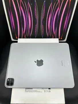 IPAD Pro M2 11-inch , Space Grey , 256GB LL/A Wifi Only