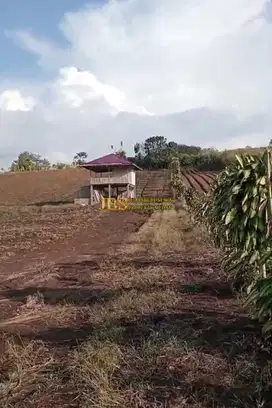 Dijual Tanah di Jalan Sinaman - Kec. Barusjahe, Karo