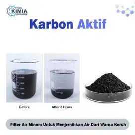 karbon aktif emas