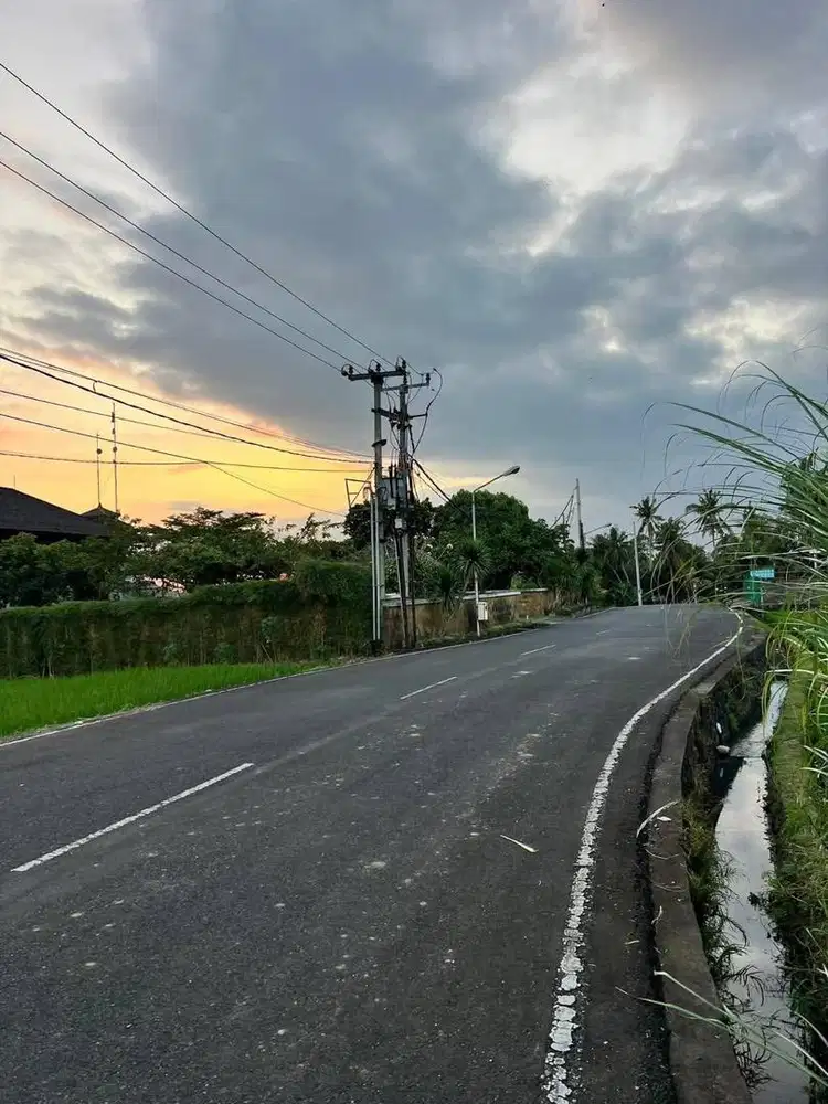 Dijual Tanah Pemandangan Sawah dan Laut di Pangkung Tibah Tabanan