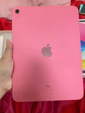 ipad gen 10 256gb