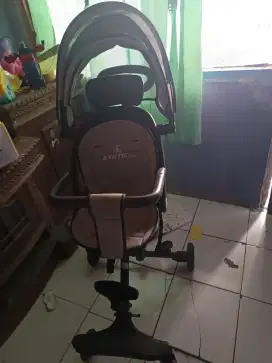 Strolee exotik anak