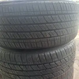 Ban palisade 245 50 r20 bridgestone