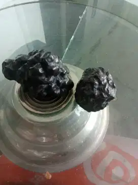 Batu petoskay  Mesir