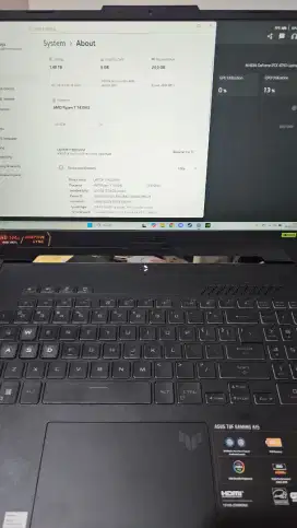 Asus Tuf Gaming A15 FA507NUR