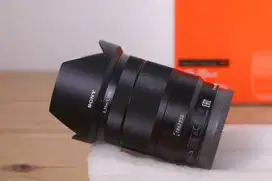 SONY E 16-70mm F4 ZA OSS