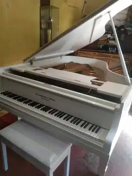 Service & Stem Piano Classic