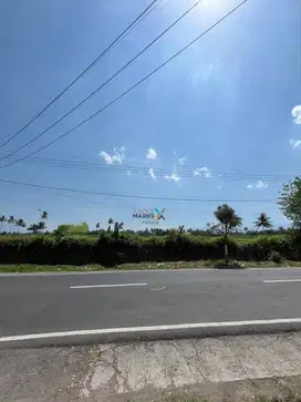 Dijual Tanah Pertanian Poros Jalan Aspal di Banjarejo, Pakis Malang