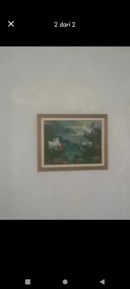 Lukisan merpati 75x55