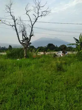 Di Jual Tanah 1000m2 di Desa Bojong Kerta Bogor