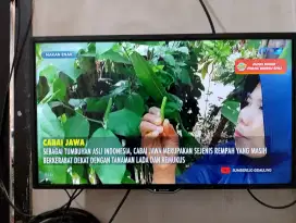 Led tv Aquos sharp 24inc