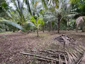 Dijual tanah kaplingan