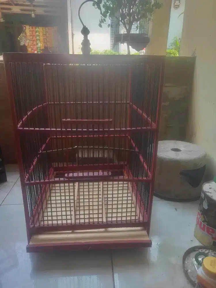 Kandang kotak no 3 murmer di BSD