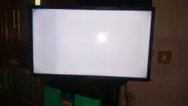 Tv Polytron 32 inch HD Blank