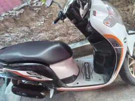 Motor scoopy 2019