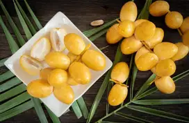 Rutob Kurma Muda Gurih dan Fresh