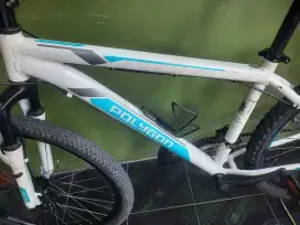 SEPEDA POLYGON MONARCH 26