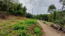Free Pajak & Balik Nama Tanah Bantul 200 Meter JJLS