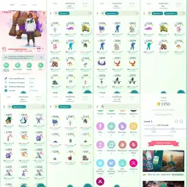 Akun pokemon go lv 41 regirock
