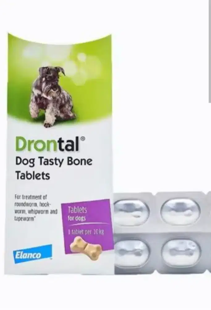 Drontal Dog Obat Cacing Anjing: