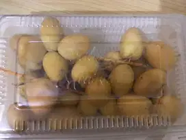 Kurma Rutob Kurma muda, Murah dan Fresh