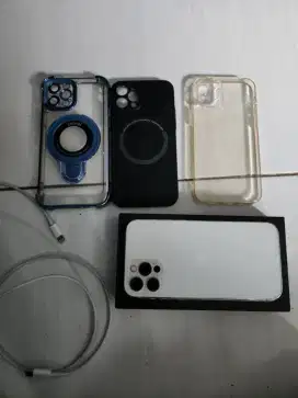 Iphone 12 Pro 256gb (warna silver) || Inter
