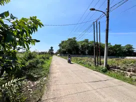 Jual Tanah Murah Cisauk, Harga 1Jt an Akses Mobil