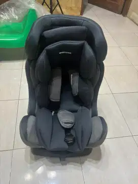 Babydoes Carseat