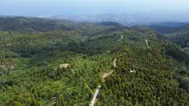 Dijual Tanah Luas View Laut di Desa Tigawasa Pedawa Buleleng