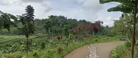 Kavling SHM 247 m2 Bandung View Sawah dan Gunung Burangrang