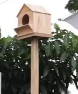 RUMAH BURUNG HANTU
