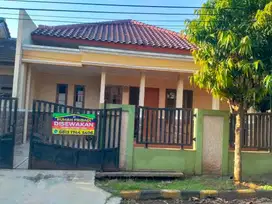 RUMAH PRIBADI DISEWAKAN / DIKONTRAK