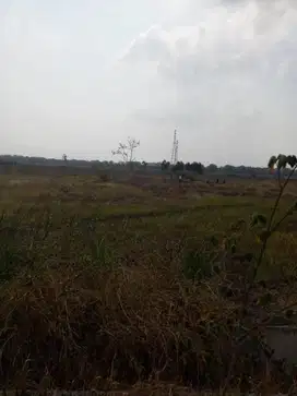 Jual Tanah Suramadu Pinggir Jalan