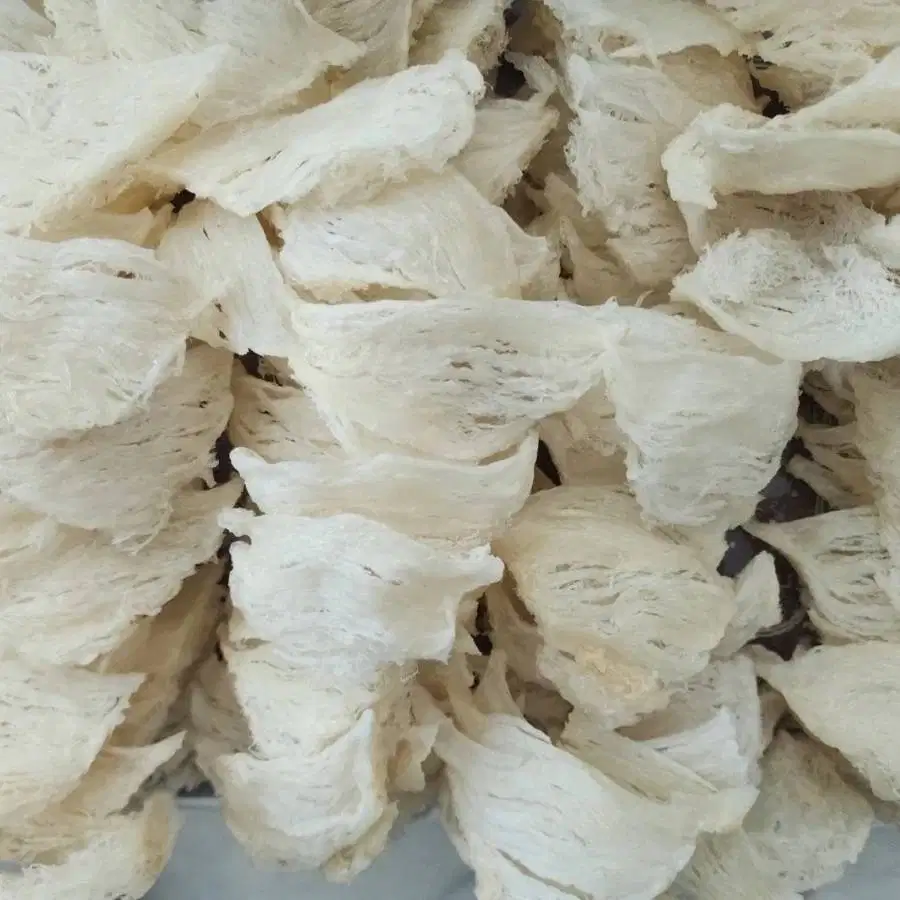 Sarang burung walet sudah bersih siap di masak