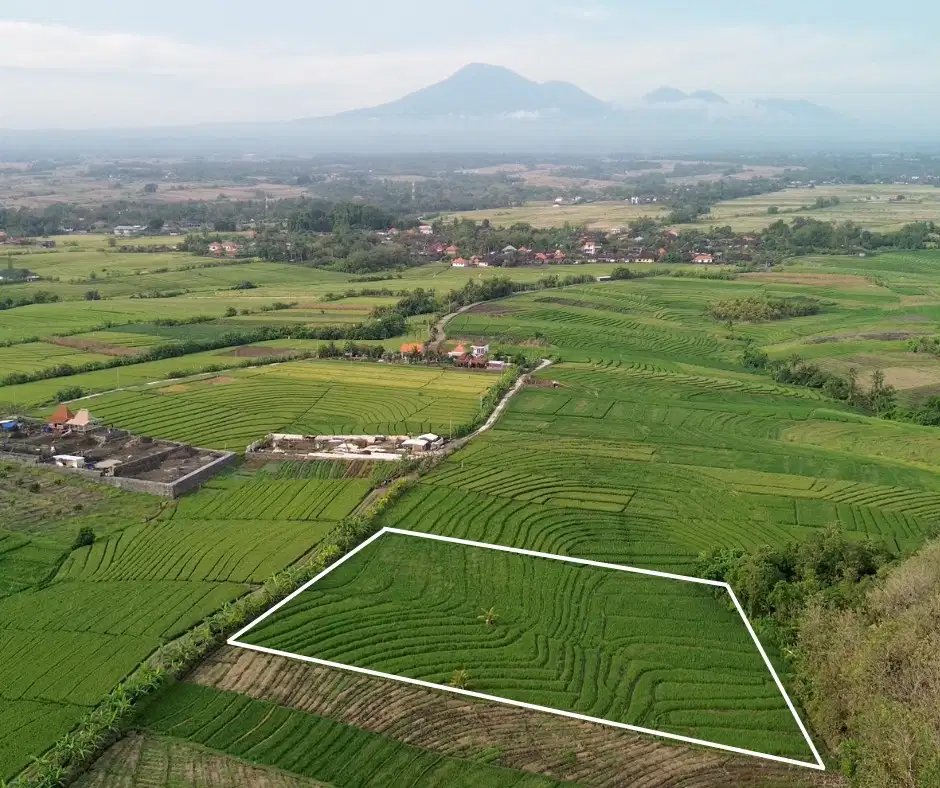 For Sale Pink Zone Land Near Pasut Beach