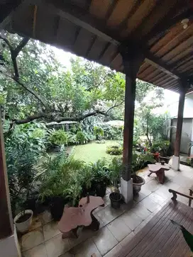 Dijual Cepat! Rumah Joglo , Halaman Luas di Jakarta Selatan