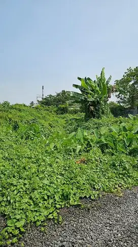 Jual Tanah Kosong Strategis