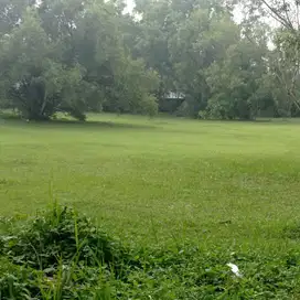 Di sewakan kavling siap bangun di samping BSD Tangerang Selatan
