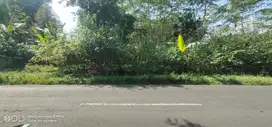 Tanah Strategis Pinggir Jalan Raya 10 Menit Ke Alun-Alun