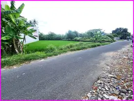 2 Menit  Pintu Tol Maguwoharjo, Tanah  Jogja Mangku Jalan Aspal