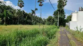 Tanah View Sawah di Pantai Saba Gianyar