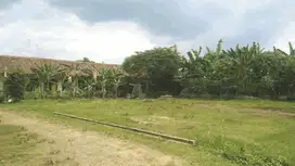 5 Menit Gerbang Tol Limo, Lahan SHM Telah Pecah, Siap Balik Nama