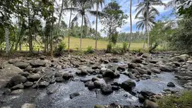 Di jual tanah dengan view sungai dan sawah di tabanan bali