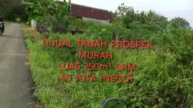 TANAH KAVLING DIJUAL STRATEGIS