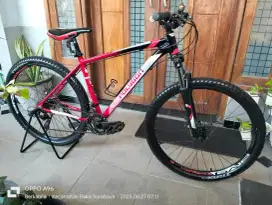 Polygon Cascade 2 alloy
